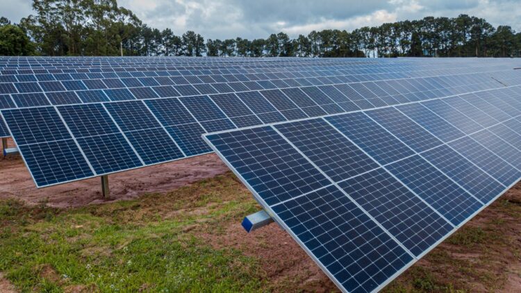 [Brasil] Arcos Dorados and EDP in partnership open three solar plants in São Paulo and Minas Gerais